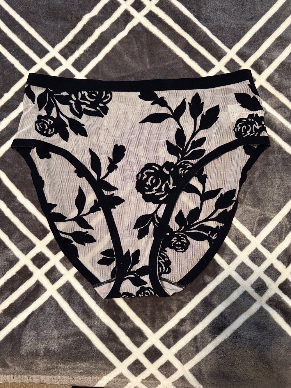 EBY Sheer High Waisted Brief